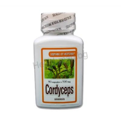 Кордицепс 500 мг х 90 капс. – TNT Cordyceps 500 mg x 90 Capsules TNT